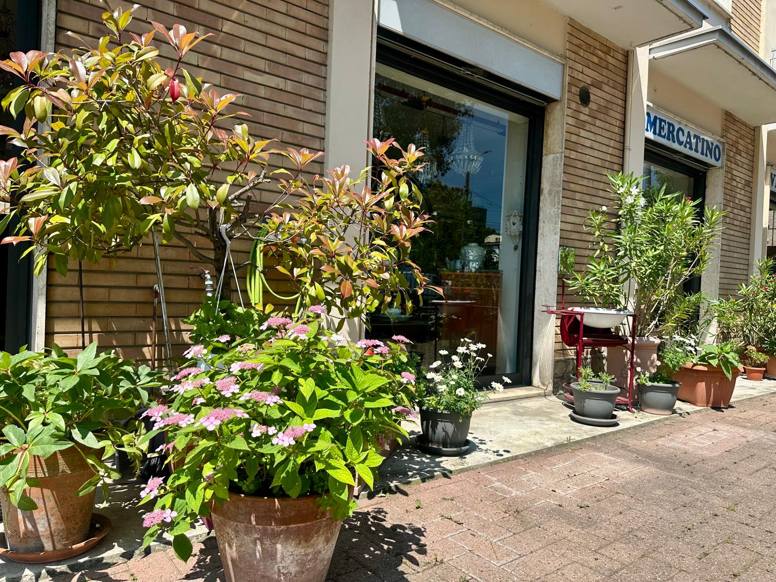 Immagine 1